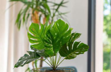 Villa Baou Evasion Provence - Foto 34