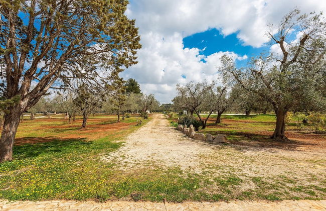 2770 Uliveto Valeria - Trullo Melograno by Perle di Puglia - Foto 42