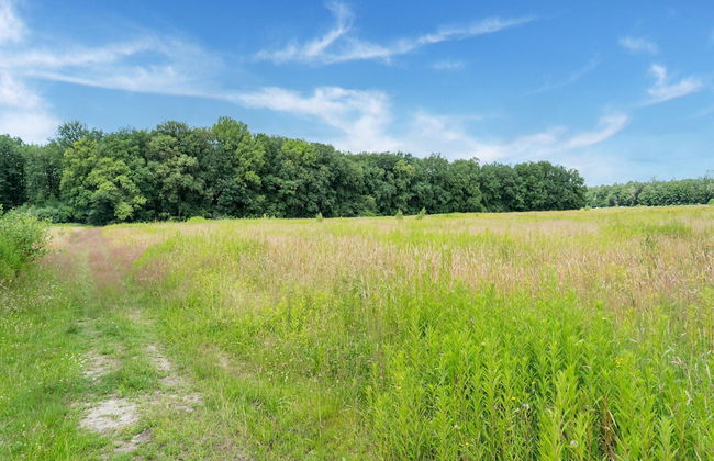 House in Hunzebergen Near Forest Trails - Foto 47