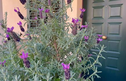 A due passi dalla città - Foto 1