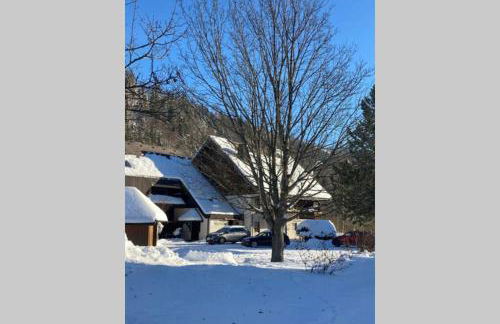 Gemütliche Ferienwohnung in Sankt Blasien - Foto 37