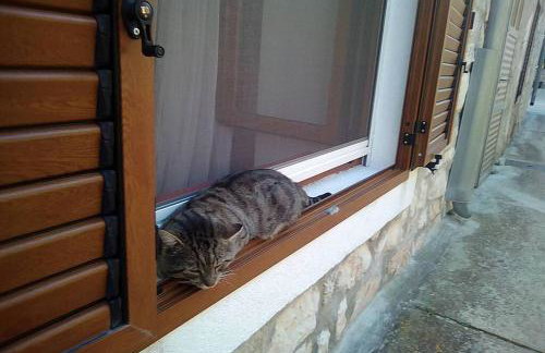 Una's House of Joy - Foto 10
