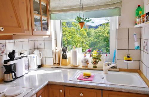 Komfort-Fewo SKYWALK-BLICK mit MeineCardPlus - Foto 15