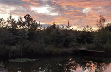 Agroturystyka Leśna Malinka - Foto 16