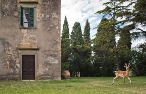 Tenuta di Poggio Cavallo - Foto 12
