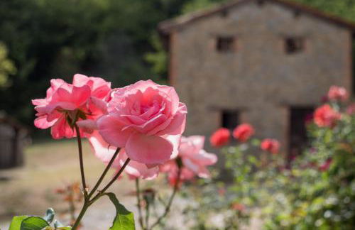 La Piana Dei Castagni - Foto 11