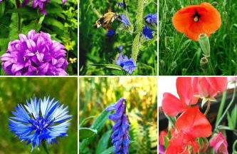 Kawalerka u Megi - Foto 21