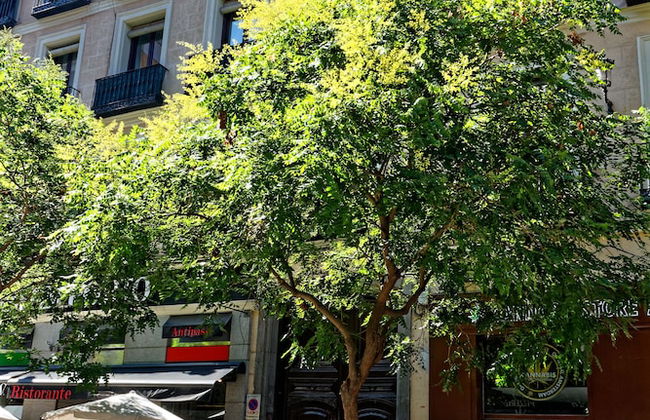 Arenal Suites Preciados - Foto 57