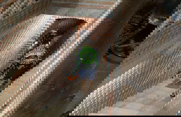 Guadalupe Valley Vineyards Bike Tour - Photo 15