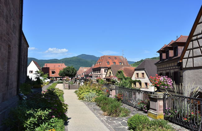 S'harzala Vert - Foto 14