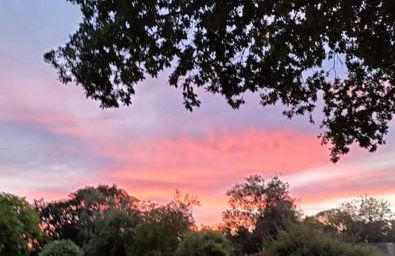 Cosy cottage with vineyard view near Goodwood Chichester - Photo 16