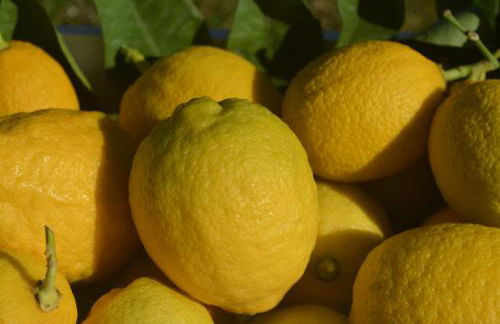 Podere delle Fanciulle - Foto 62