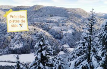 Gîte Le Clos des Vosges - Foto 27