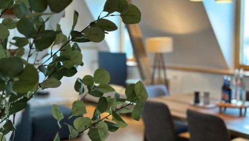 Großes Apartment für Business, Family & Friends - Foto 4