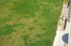 Apartamento Garden em Cabanas Gardens - Photo 9