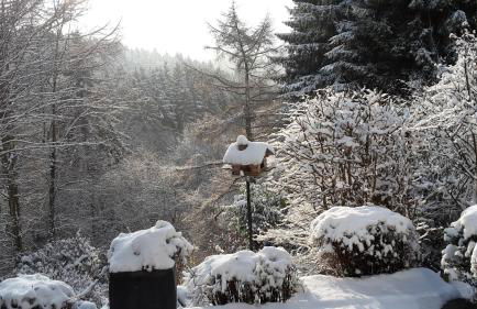 Perlenbachtal - Foto 6