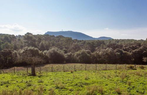 Oliver Moragues Grandhouse & Vineyard - Foto 57