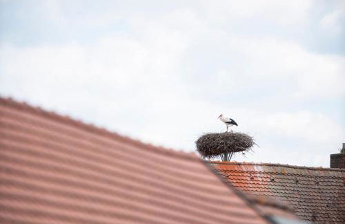 NAMASTÉ Homes - Ferienwohnung mit Balkon & Carport - Foto 20