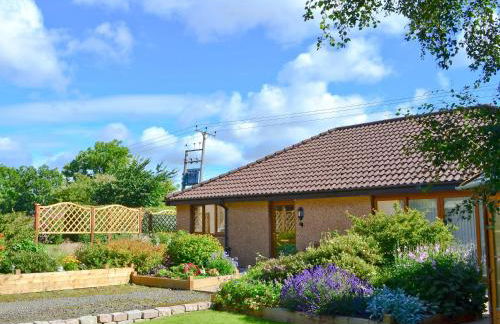 Eilean Donan - Foto 11