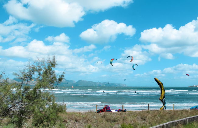 Ullastro Pollença - Foto 45