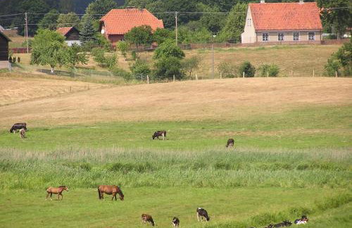 Nad Doliną Krutyni - Foto 21