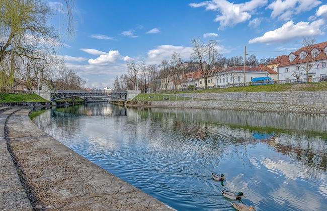 City Apartment Flow Ljubljana - Foto 28