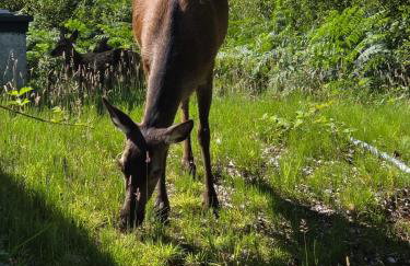 Cosy Holiday Home Acharacle Sleeps 6 - Photo 7