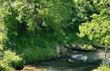 La sosta al lago - Foto 19