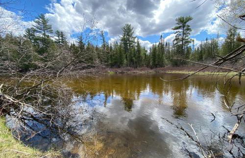 Secluded Au Sable River Home - Foto 23