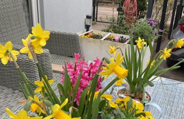 Waldtraum Wandlitzsee - Foto 37