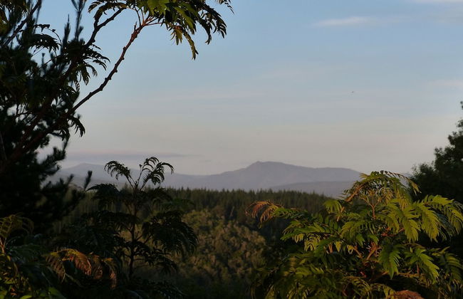 Woodlands Self Catering, Knysna - Foto 38