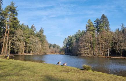 Keeper's Cottage - Photo 23