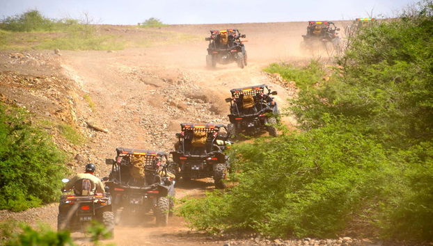 Zoom through the desert