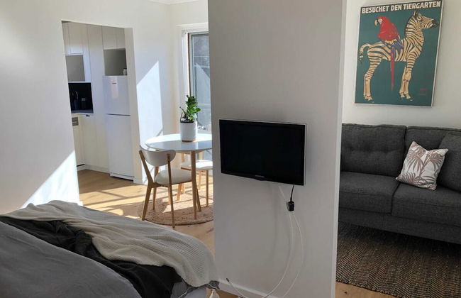 Sun-drenched 1 Bed Studio Apartment In Newtown - Foto 3