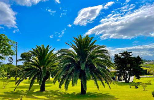 Solar Pontes - Photo 16