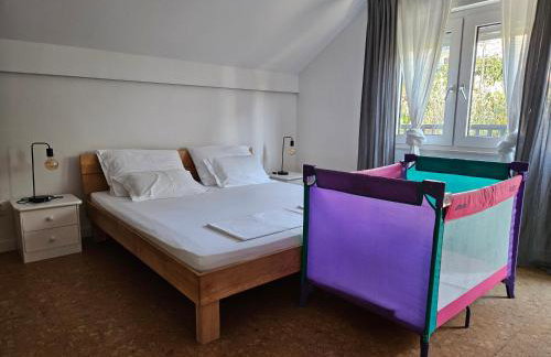 Sea Land 2 - Photo 56