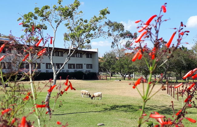 Hotel Portal de Gravatá - Foto 18