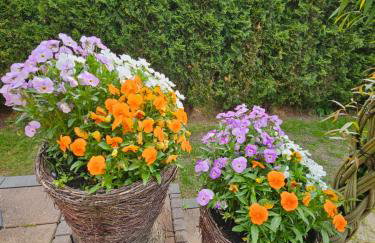 Dom całoroczny Tomek - Foto 29