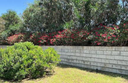 Sardinia Dream Home - Foto 12