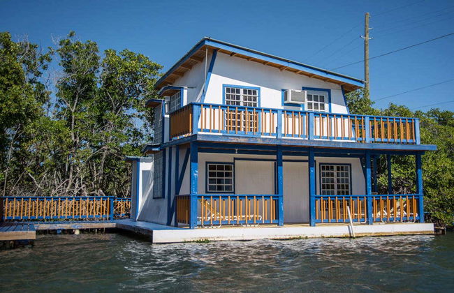 La Parguera Kayak Rental - Foto 3