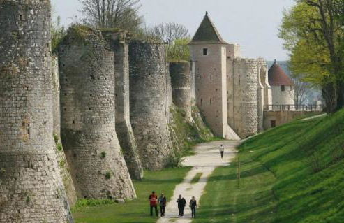 La Voulzie Appartement - Proche centre avec parking privé - Foto 29