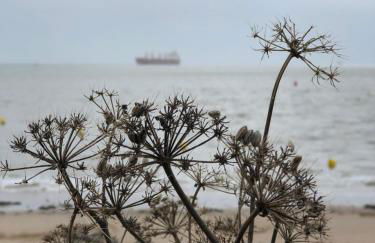 Bel appartement en rez-de-jardin à 100m des plages - Foto 17