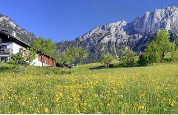 Bauernhof Vorderstiedler - Foto 23