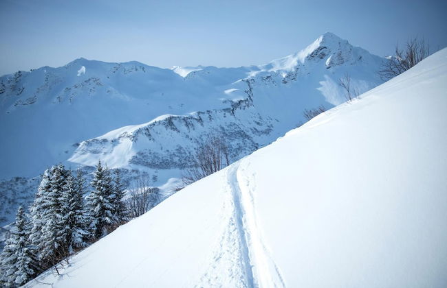 Haus Emillia am Faschinajoch - Foto 22
