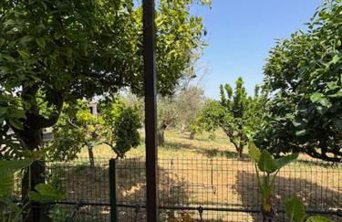 Quinta do Avô - Foto 46