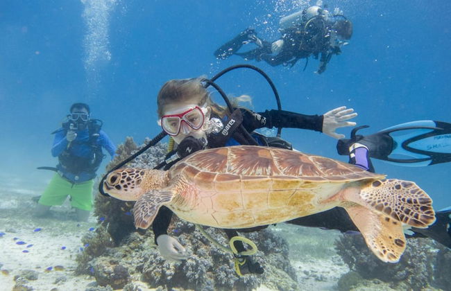 Alaia Studios - Foto 39