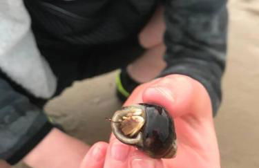 3-Bedroom Eco-house with EV charger. - Foto 21