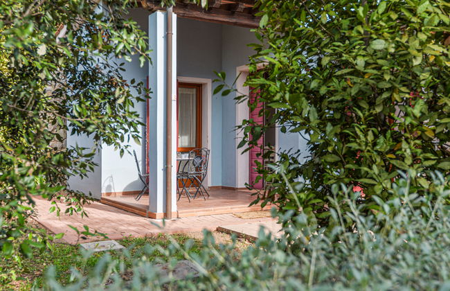 Mezzo Ortano - Foto 29