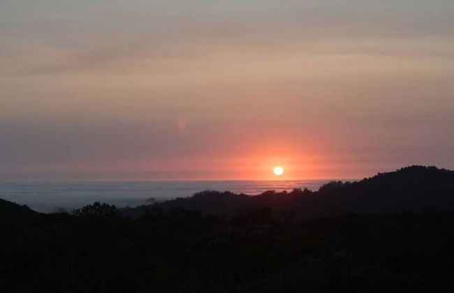 Pacific Coast Redwoods Cabin for Family - Foto 79