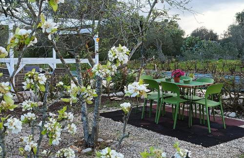 Trullo Amalia con piscina privata - Foto 29